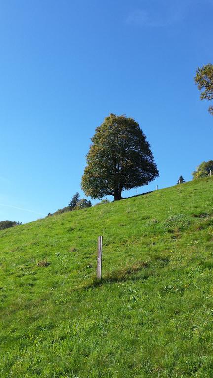 Ferienwohnung Schulhaus Hirschmatt Guggisberg Rum bild